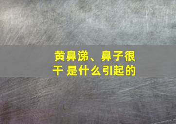 黄鼻涕、鼻子很干 是什么引起的